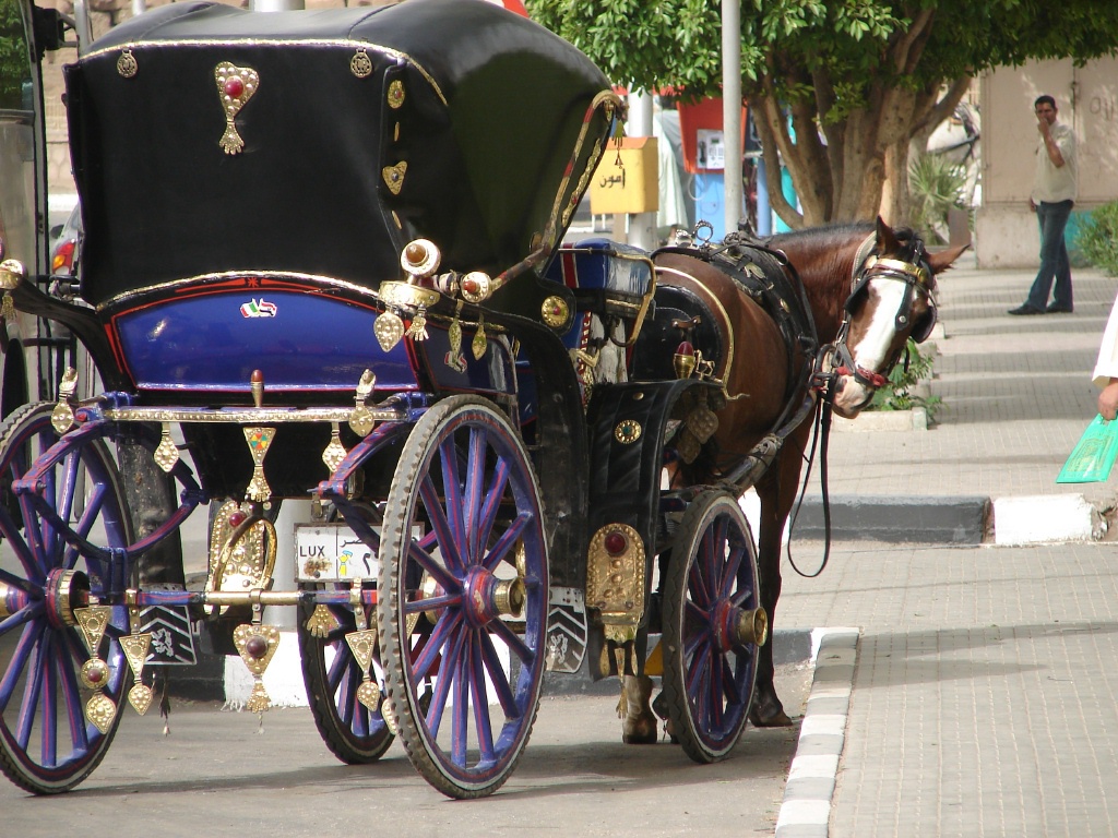 Luxor city street.What did you just say to me.jpg